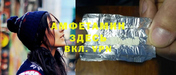 молекула духа Арсеньев